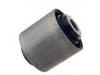 Suspension Bushing Suspension Bushing:55045-0W023