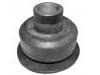 Suspension Bushing:MB518167