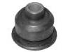 Suspension Bushing:MB870742